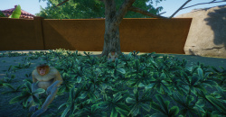 Planet Zoo: Southeast Asia Animal Pack