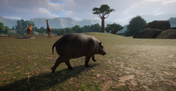 Planet Zoo: Southeast Asia Animal Pack