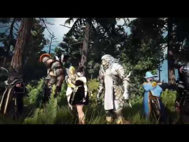 Black Desert Online Now Out on SteamVideo Game News Online, Gaming News