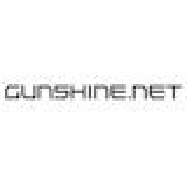 Gunshine.net geht in die Open-Beta-PhaseNews - Spiele-News  |  DLH.NET The Gaming People