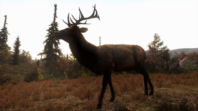 Cabela’s Big Game Hunter: Pro Hunts ab sofort erhältlichNews - Spiele-News  |  DLH.NET The Gaming People