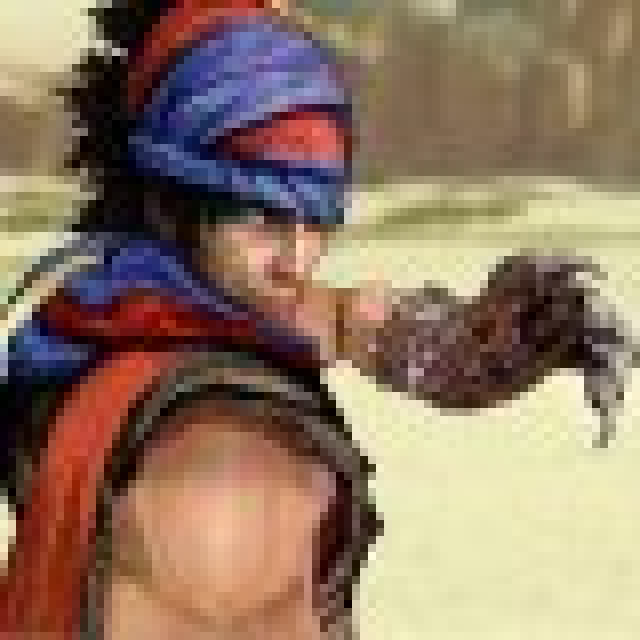 Prince Of Persia auf Wii und 3DSNews - Spiele-News  |  DLH.NET The Gaming People